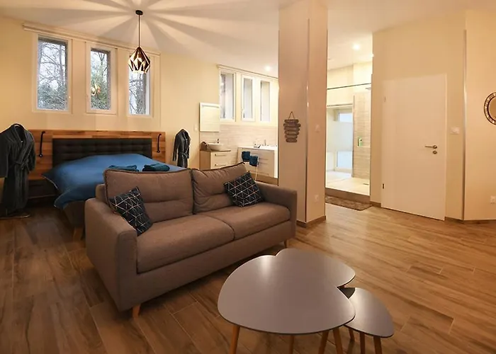 Apartment Loft Detente Strasbourg