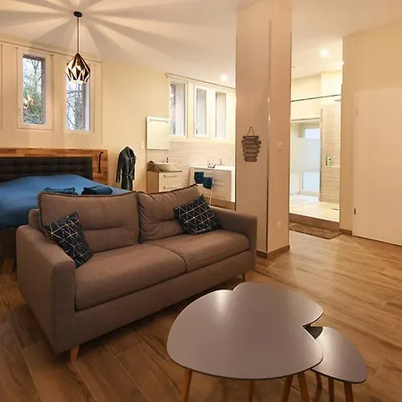 Апартаменты Loft Detente Страсбург